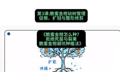 第3节：脆蜜金柑幼树管理：促根、扩冠与整形修剪，课程：《脆蜜金柑怎么种？拒绝死苗与裂果，脆蜜金柑8步避坑种植法》#识农AI