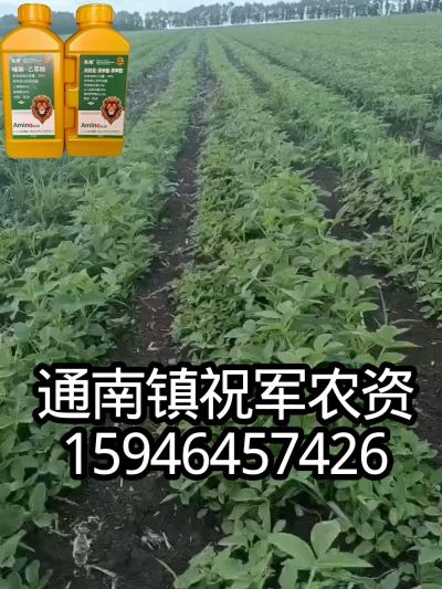 大豆苗前封闭，可封红根苋菜，灰菜，兰花菜，野豆子，捞豆秧等恶性杂草，封杀兼备的高端产品。