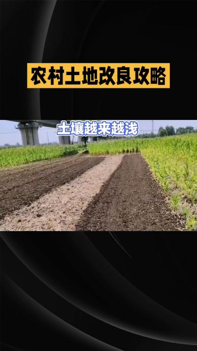 1. 先搞懂：你到底要改良哪块地、种什么
 
- 土土土在哪里？
就是你自家农田、菜地、果园，哪块地想种庄稼，就测哪块地的土。
​
- 有水没有水？
有水能浇：改良更省事，施肥、调酸碱都好操作。
没水
