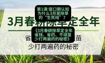第1节：窗口期认知，为什么3月是除草的&ldquo;生死线&rdquo;？，课程：《3月春耕除草定全年：省钱、省药、不烧苗、少打两遍药的秘密》
