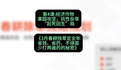 第4节：经济作物果园攻坚，抗性杂草&ldquo;起死回生&rdquo;局，课程：《3月春耕除草定全年：省钱、省药、不烧苗、少打两遍药的秘密》